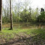 Adams County Cozy Hideaway Pond