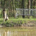 Adams County Cozy Hideaway Pond