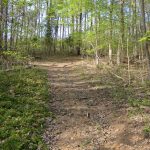 Adams County Cozy Hideaway Walking Trail