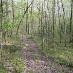 Adams County Cozy Hideaway Walking Trail