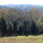 Adams County Cozy Hideaway View