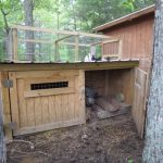 Cozy Hideaway Hens and Pig