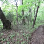 Cozy Hideaway Walking Trail
