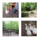 Cozy Hideaway Outdoor Features