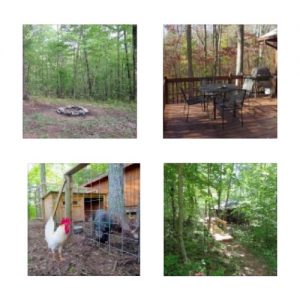Cozy Hideaway Outdoor Features. Large furnished deck with gas grill, covered front porch, firepit hiking trails and assorted animals.